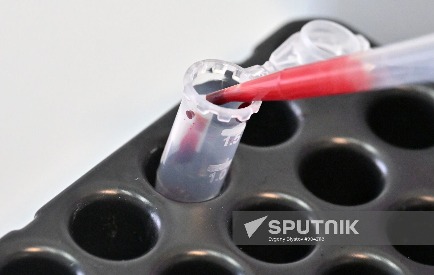 Russia Education Pirogov Medical University