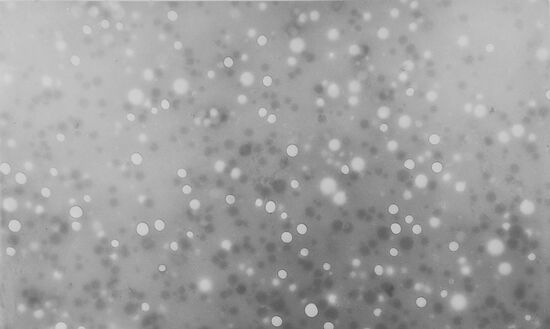 Institute of Biological Physics of USSR Academy of Sciences