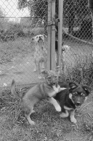 Institute of Biological Physics of USSR Academy of Sciences