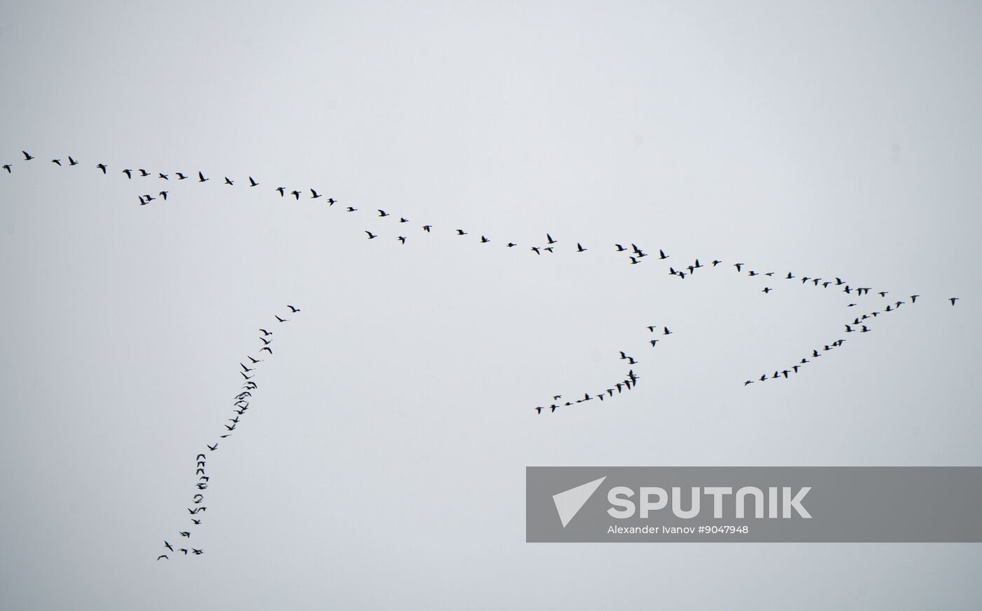 Russia DPR Daily Life