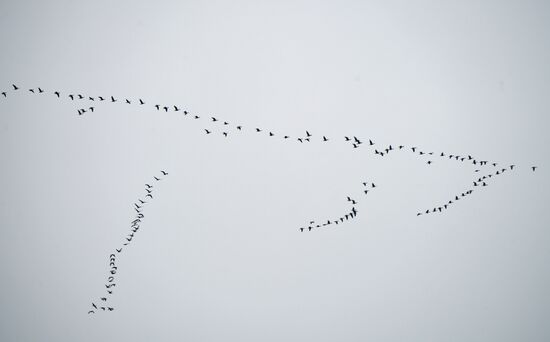 Russia DPR Daily Life