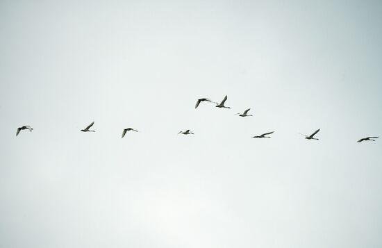 Russia DPR Daily Life