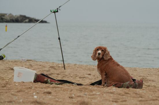 Russia DPR Daily Life