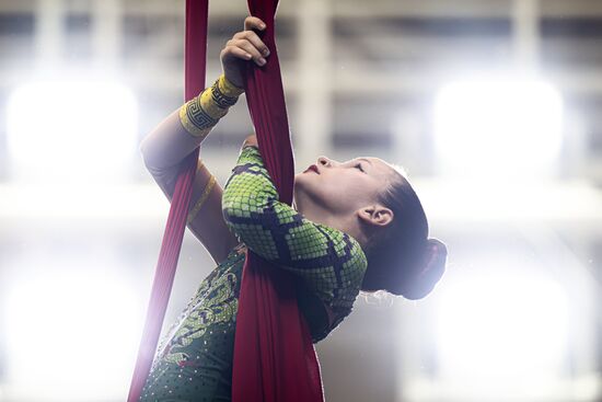 Russia Aerial Sports Gymnastics Championships