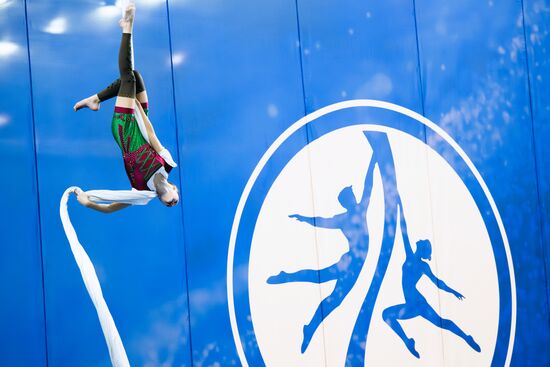 Russia Aerial Sports Gymnastics Championships