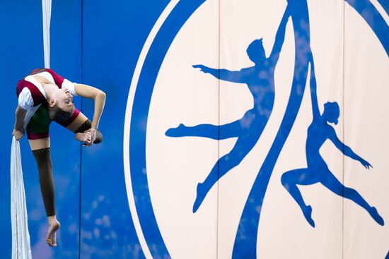 Russia Aerial Sports Gymnastics Championships