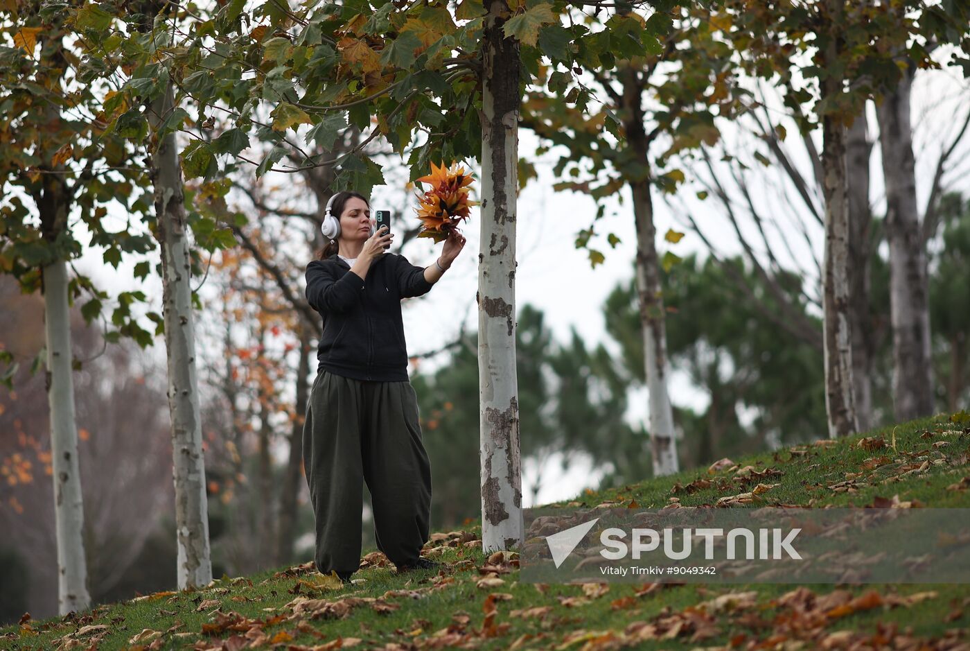 Russia Weather Krasnodar