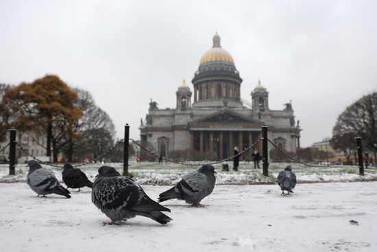 Russia Weather St Petersburg