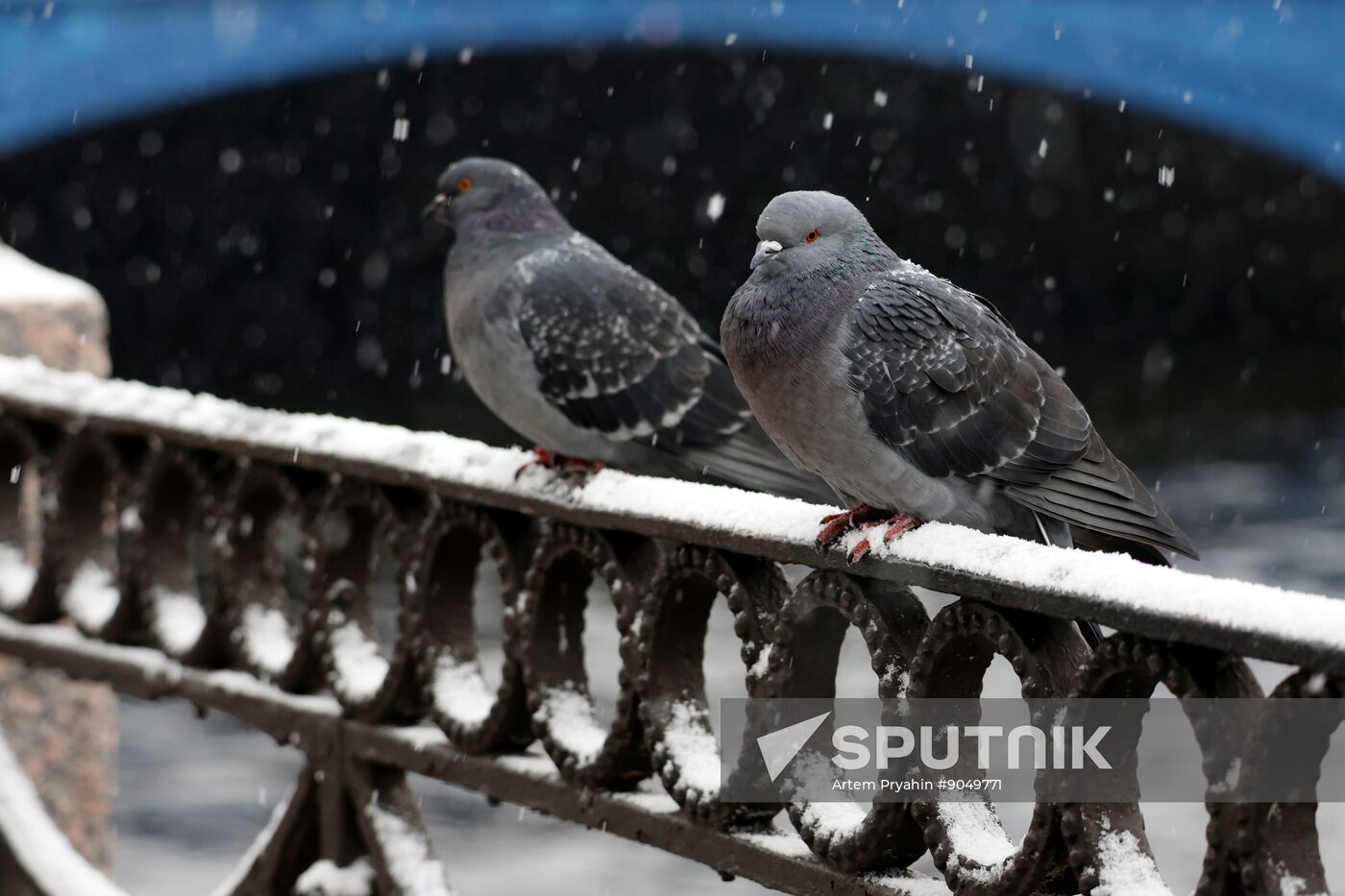 Russia Weather St Petersburg