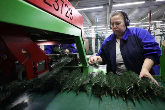 Russia New Year Season Preparations