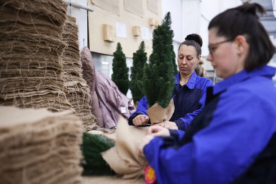 Russia New Year Season Preparations