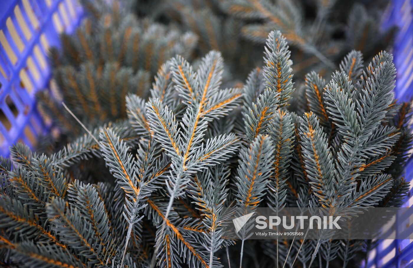 Russia New Year Season Preparations