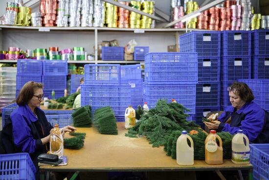 Russia New Year Season Preparations