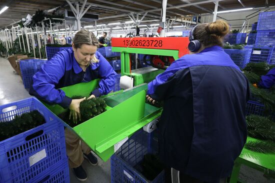 Russia New Year Season Preparations