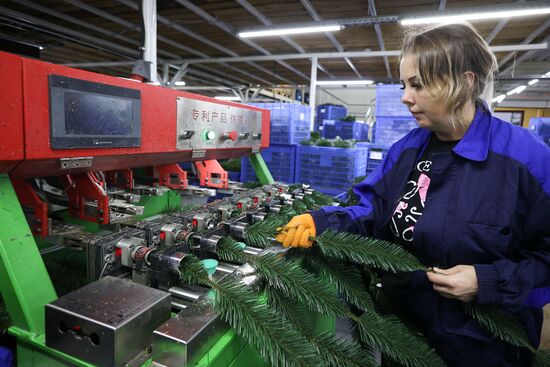 Russia New Year Season Preparations