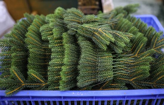 Russia New Year Season Preparations