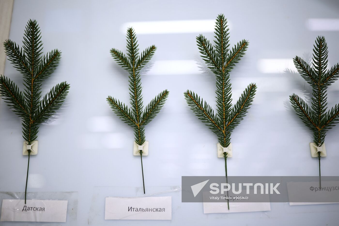 Russia New Year Season Preparations