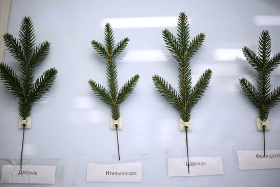 Russia New Year Season Preparations