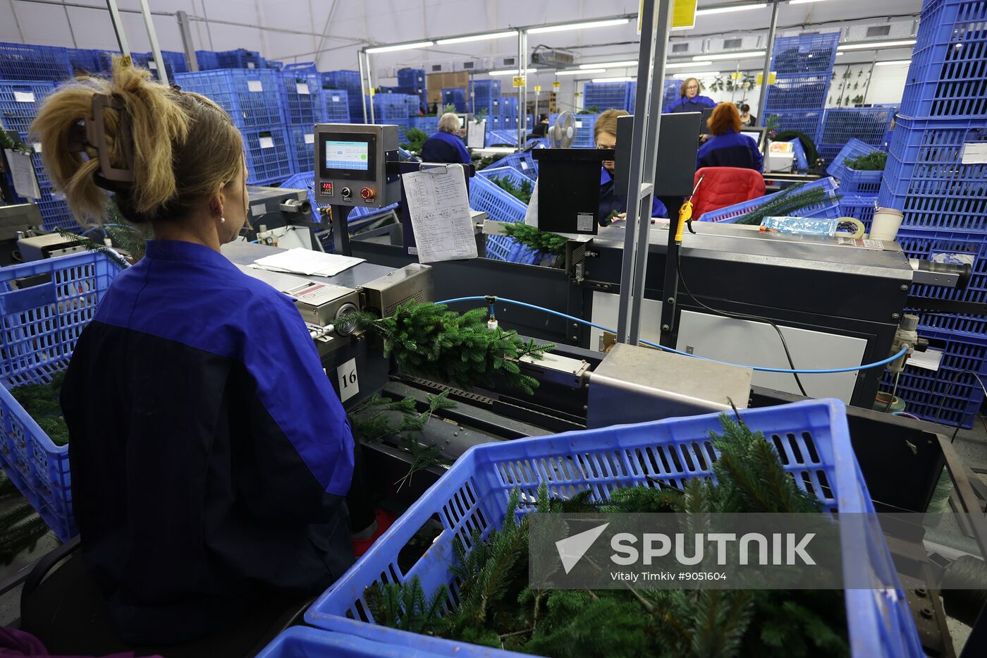 Russia New Year Season Preparations