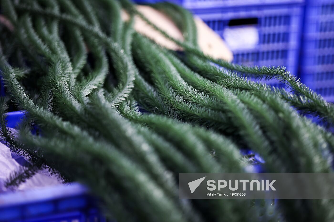 Russia New Year Season Preparations