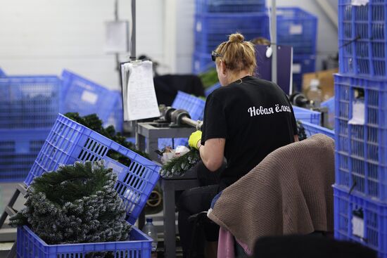 Russia New Year Season Preparations