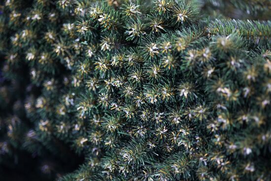 Russia New Year Season Preparations