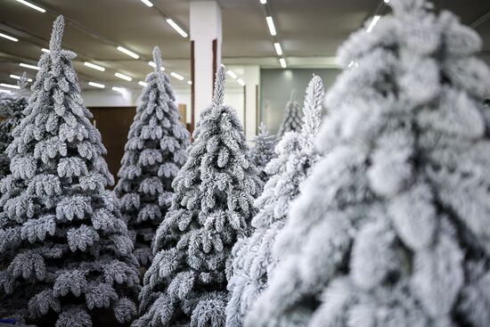 Russia New Year Season Preparations