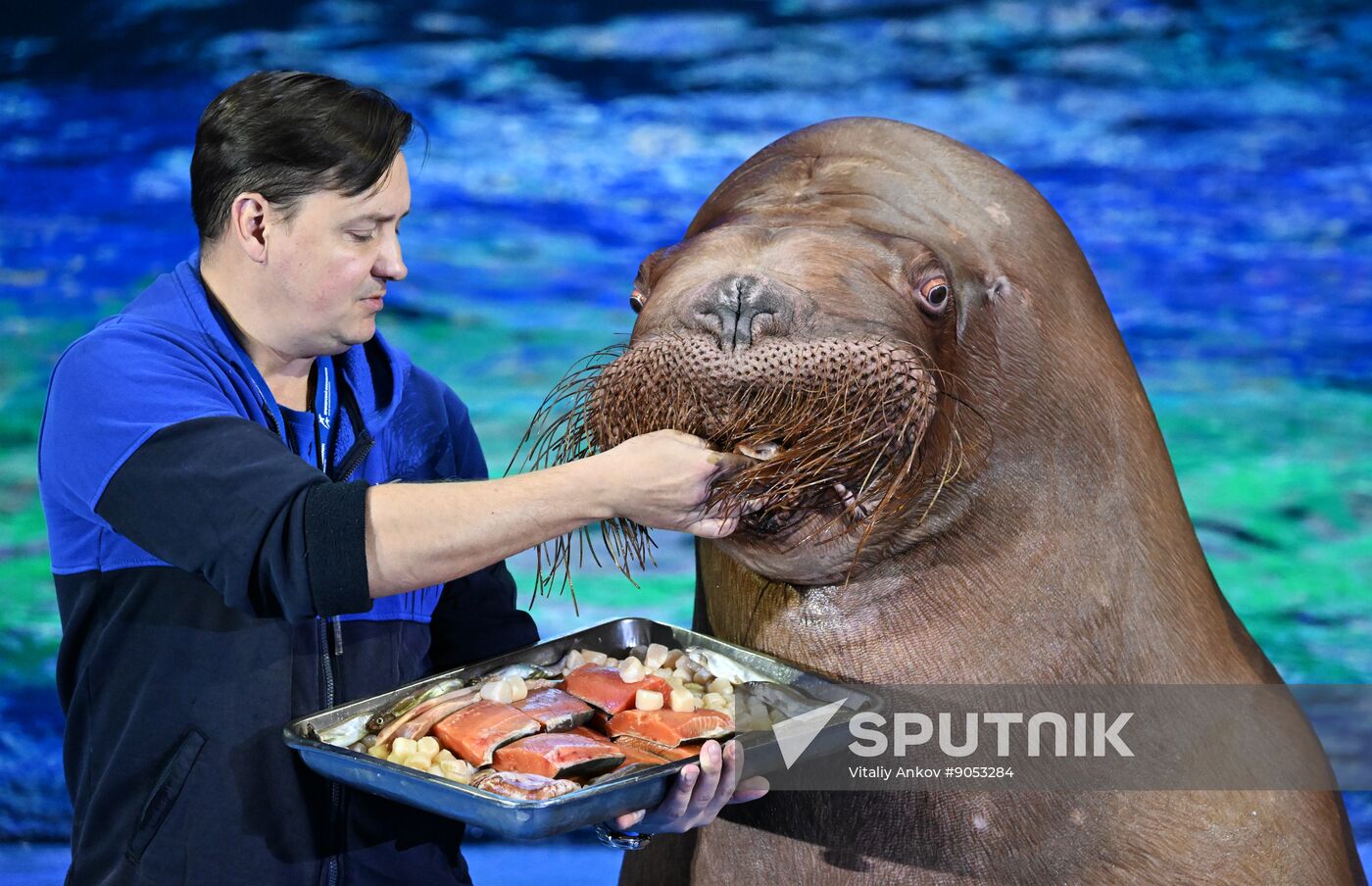 Russia Primorsky Aquarium