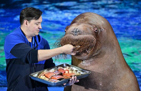 Russia Primorsky Aquarium