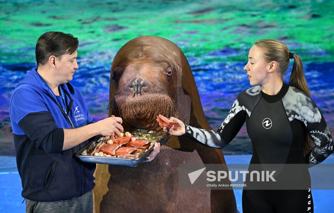 Russia Primorsky Aquarium