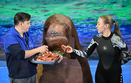 Russia Primorsky Aquarium