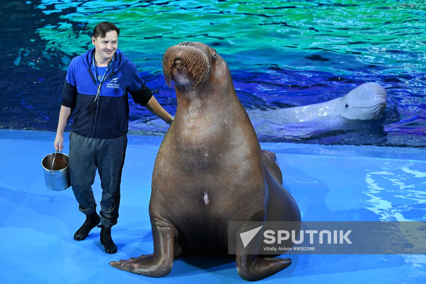 Russia Primorsky Aquarium