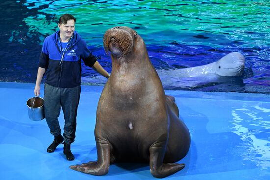 Russia Primorsky Aquarium