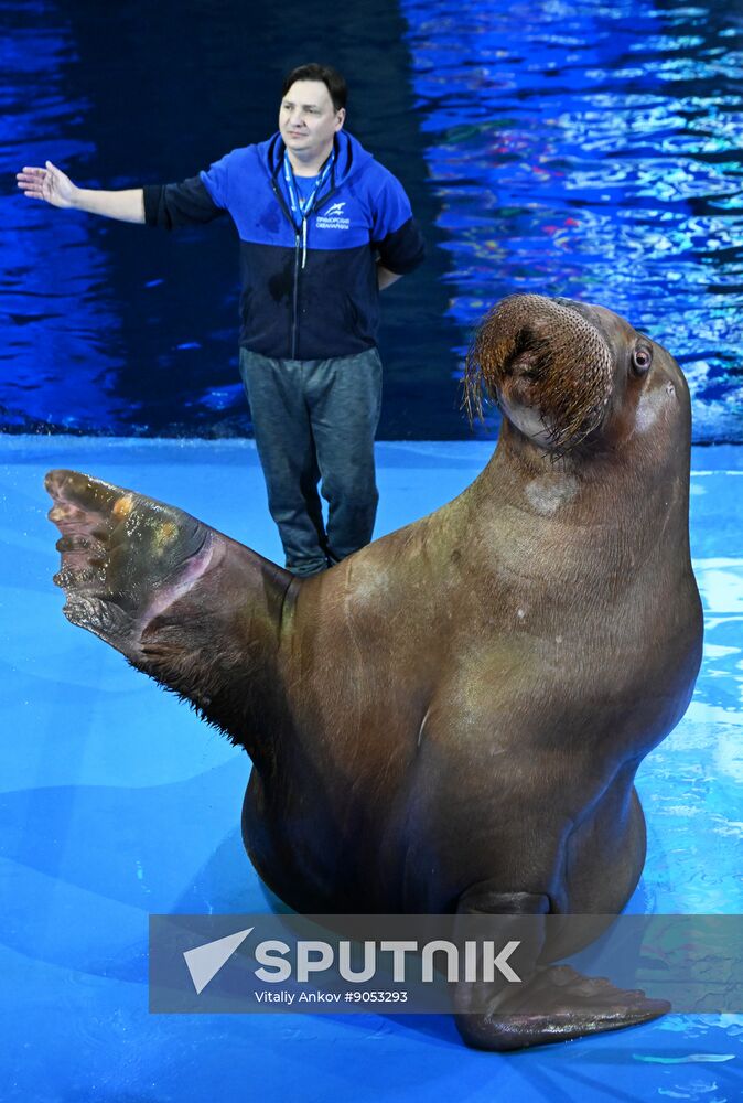 Russia Primorsky Aquarium