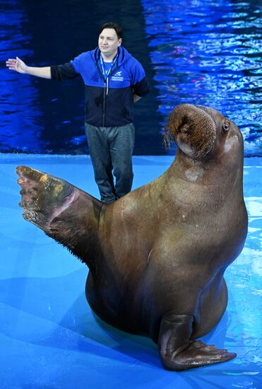 Russia Primorsky Aquarium