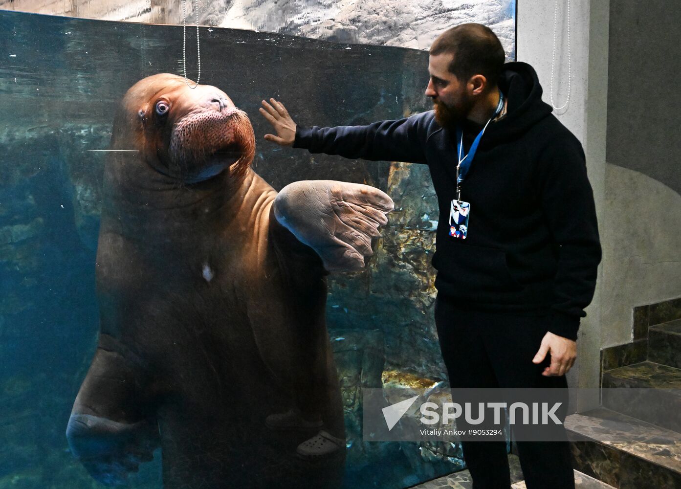 Russia Primorsky Aquarium