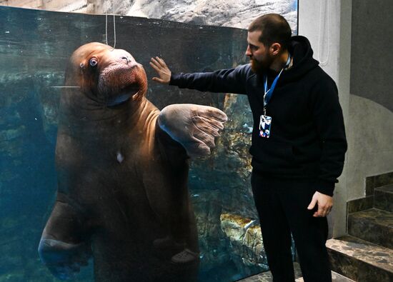 Russia Primorsky Aquarium