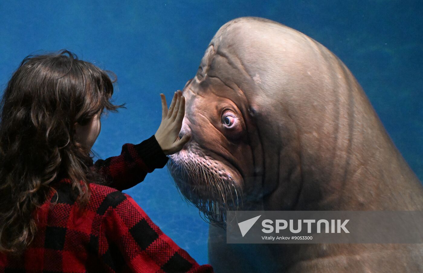 Russia Primorsky Aquarium