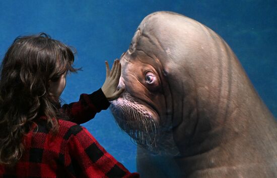 Russia Primorsky Aquarium