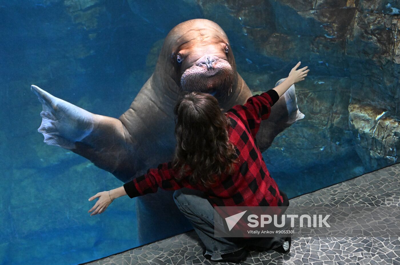 Russia Primorsky Aquarium