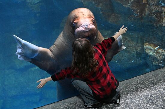 Russia Primorsky Aquarium