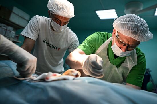 Russia Ukraine Military Operation Akhmat Frontline Hospital