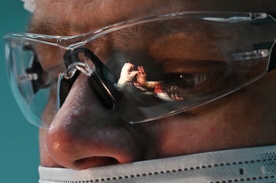 Russia Ukraine Military Operation Akhmat Frontline Hospital