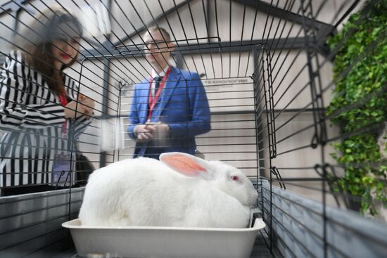 The 2025 Young Scientists Congress. Credit is mandatory when using the photo. Location: Russia, Federal territory 'Sirius'. Author: Kristina Kormilitsyna. 2025 Young Scientists Congress