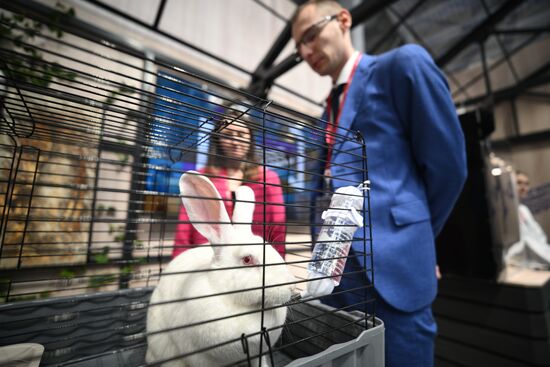 The 2025 Young Scientists Congress. Credit is mandatory when using the photo. Location: Russia, Federal territory 'Sirius'. Author: Vladimir Astapkovich. 2025 Young Scientists Congress