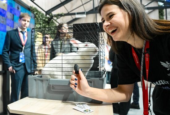 The 2025 Young Scientists Congress. Credit is mandatory when using the photo. Location: Russia, Federal territory 'Sirius'. Author: Kirill Zykov. 2025 Young Scientists Congress