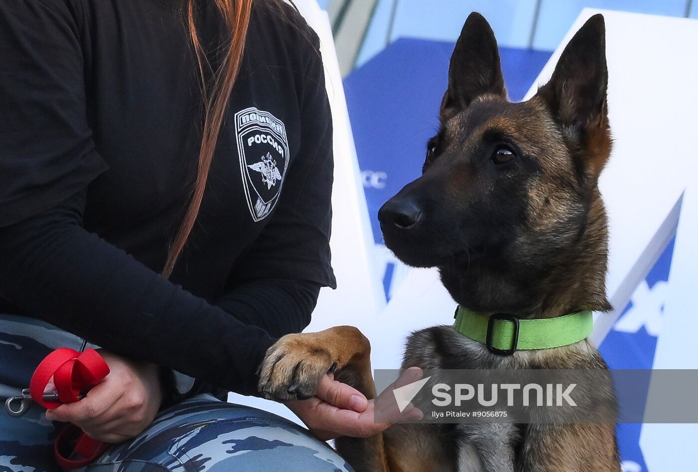 2025 Young Scientists Congress