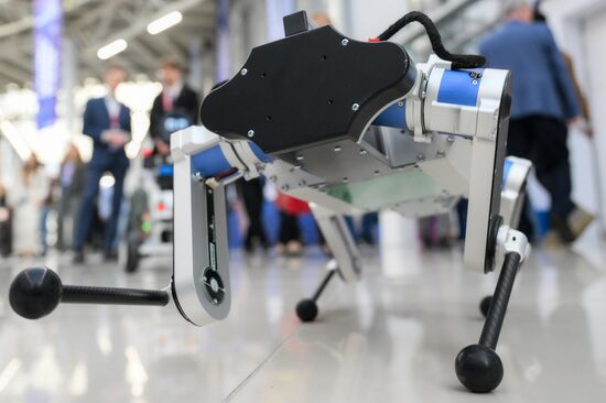 2025 Young Scientists Congress