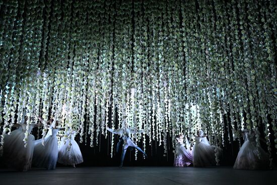 Russia Theatre Marriage of Balzaminov