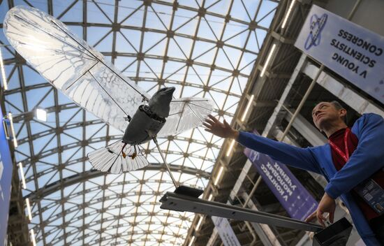 2025 Young Scientists Congress